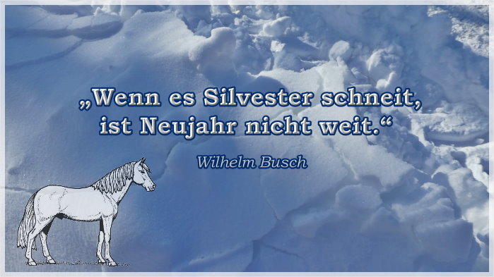 P1380651 Schneedecke Silvesterspruch 700+.jpg