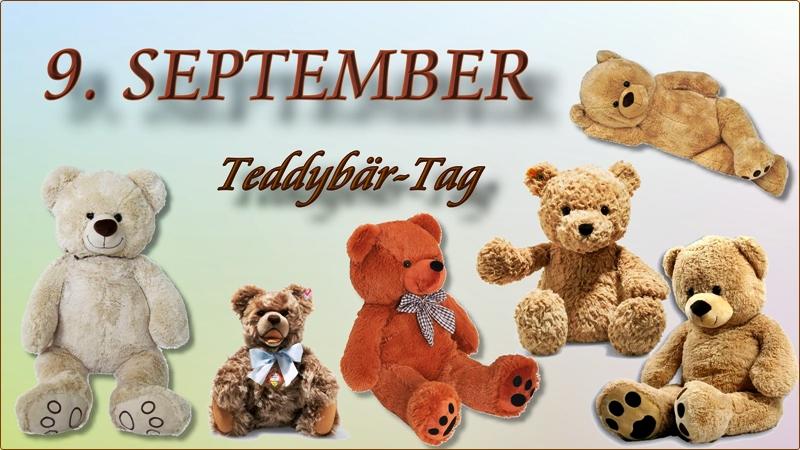 9.9.24 Teddybär (800.jpg