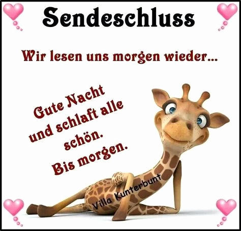 lustige-guten-morgen-bilder-kostenlos-best-bildergebnis-fur-gute-nacht-bilder-lustig-of-lustige-guten-morgen-bilder-kostenlos.jpg