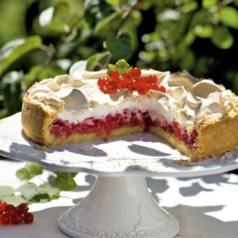 61391-johannisbeerkuchen-mit-baiserhaube.jpg