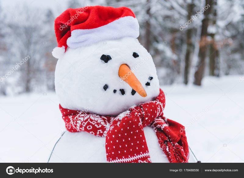 depositphotos_178488556-stock-photo-close-view-funny-snowman-scarf.jpg