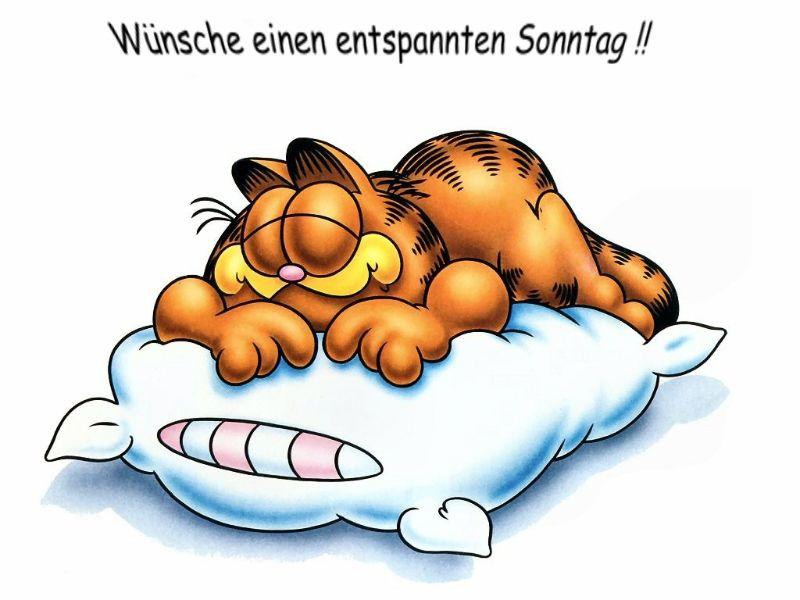 Garfield sonntag.jpg