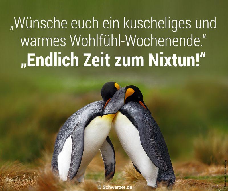 schwarzer-de-blog-Facebook-Spruch-wuensche-euch-ein-kuscheliges-und-warmes-Wochenende.jpg