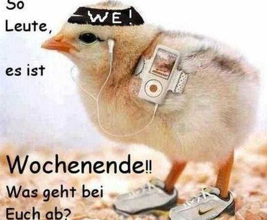 Lustige-Bilder-„schones-Wochenende“-kostenlos-downloaden-2 (3).jpg