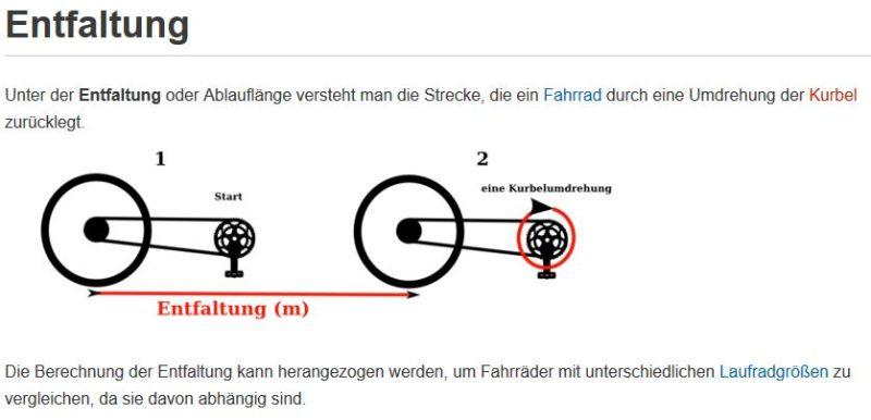 Entfaltung7.jpg