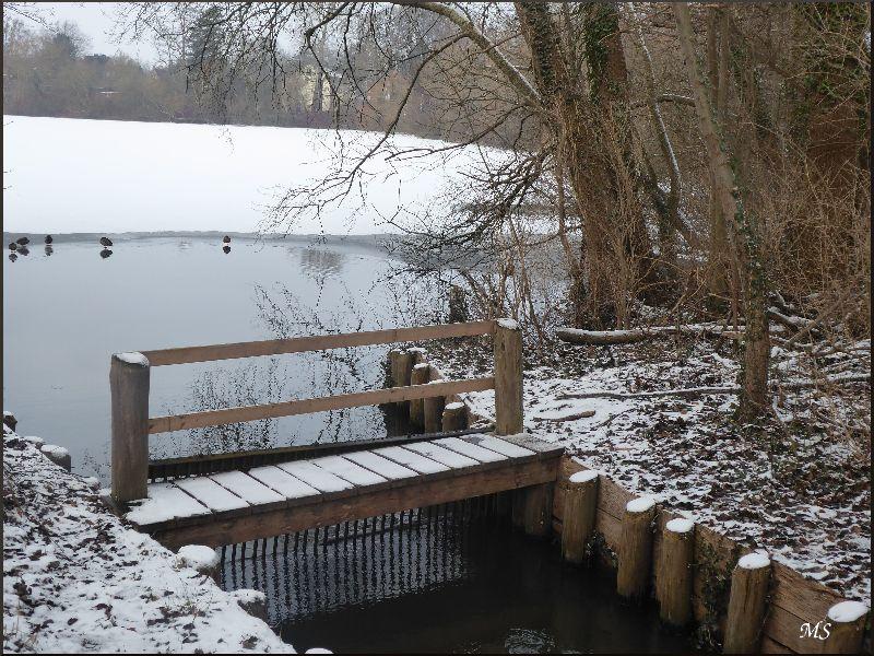 Brücke3.jpg