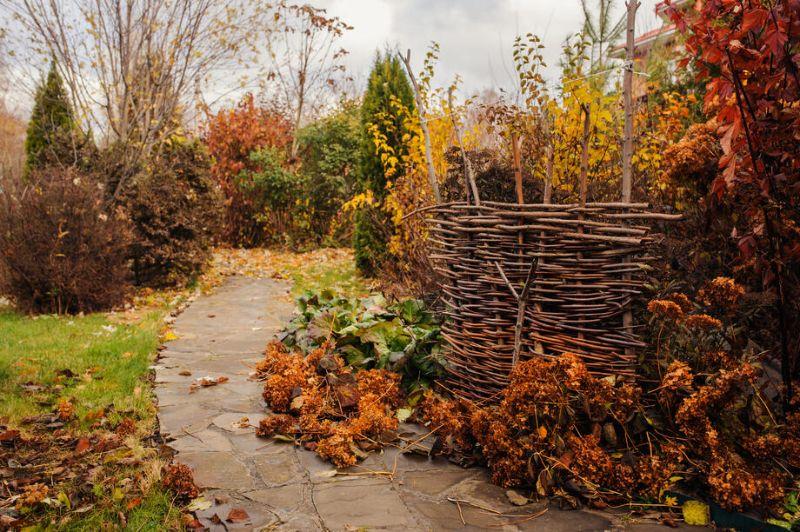 so-machen-sie-ihren-garten-fit-fuer-den-herbst.jpg