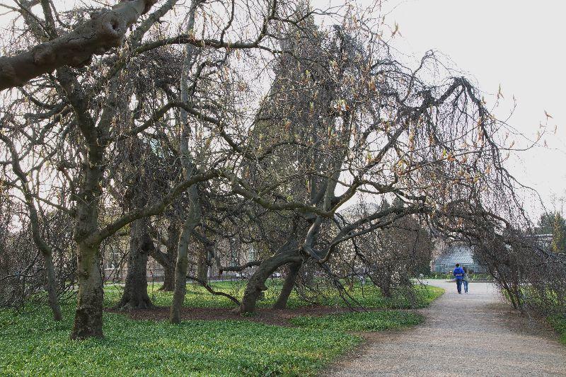 Beim botanischen Garten Karlsruhe.JPG