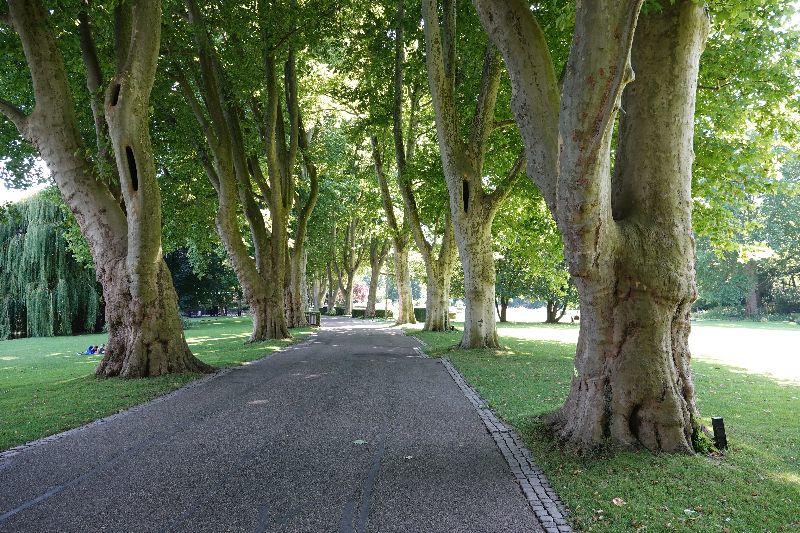 Zoo und Stadtgarten in Karlsruhe.JPG