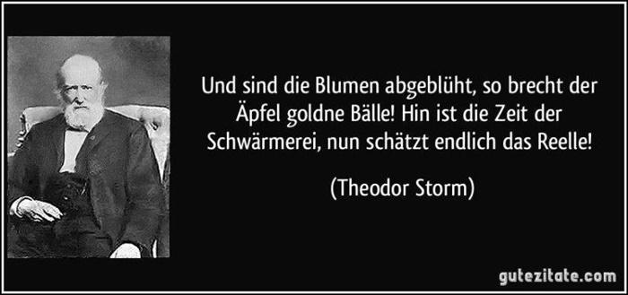 Storm, Theodor-zitat.jpg