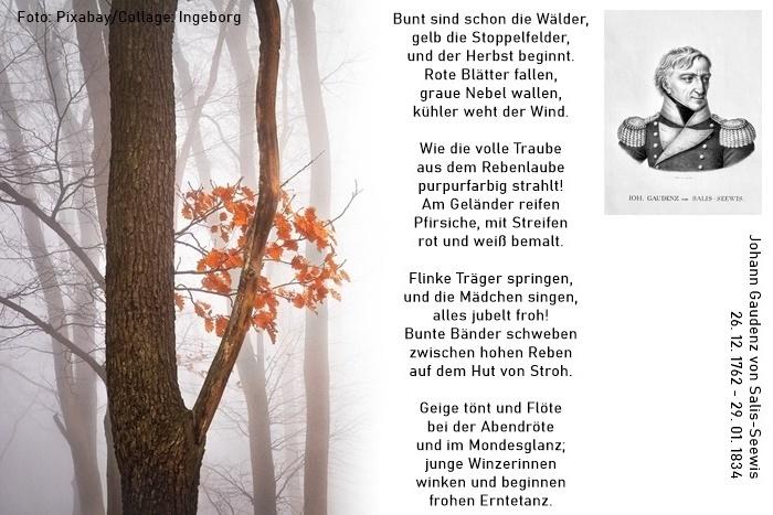 Salis-Seewis-Bunt sind schon die Wälder.jpg