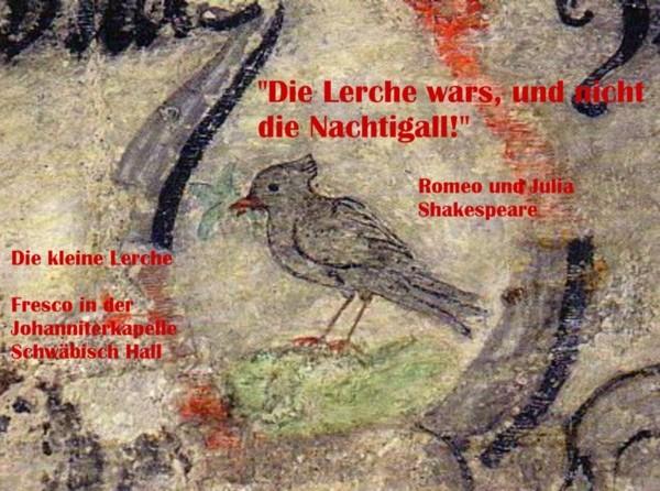 Lerche3.jpg