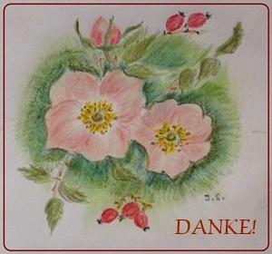 Danke!-Heckenrose-300-Rahmen.jpg