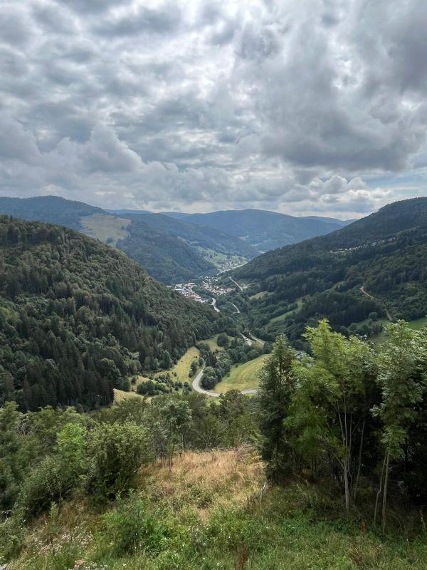 Blick_von_Hängebrücke.JPG