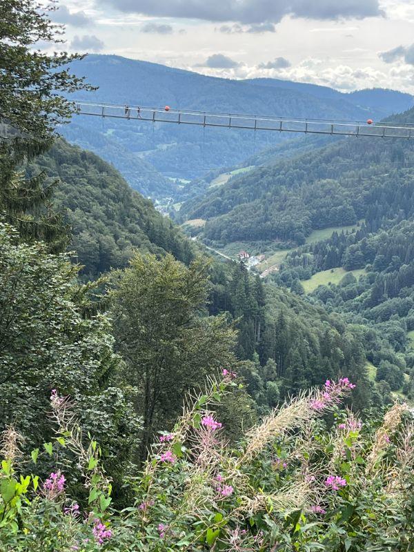 Seitenansicht_mit_Leuten_auf_Brücke.jpg