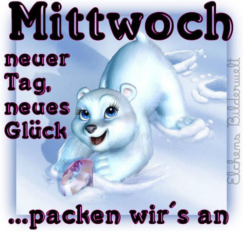 mittwoch390.jpg