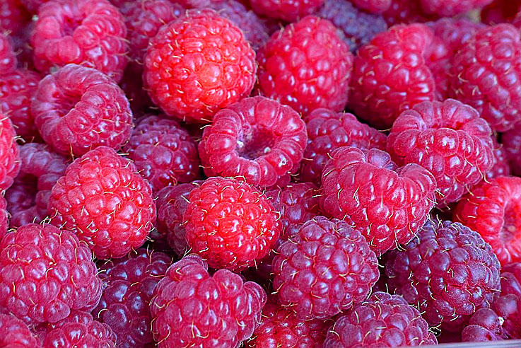 Himbeeren.jpg