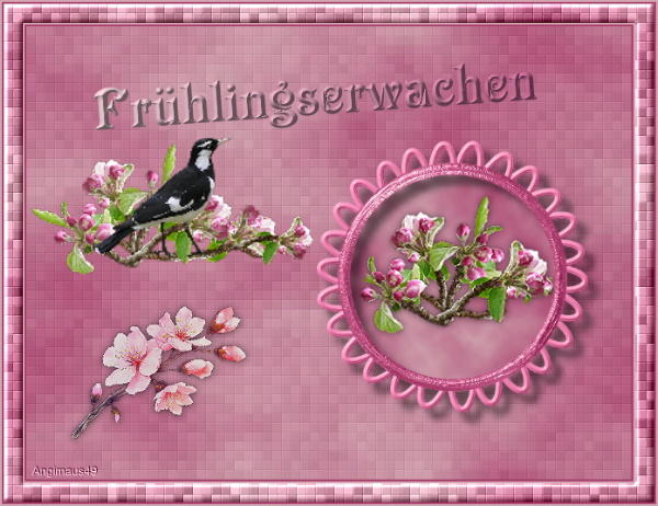 Frühlingserwachen.jpg