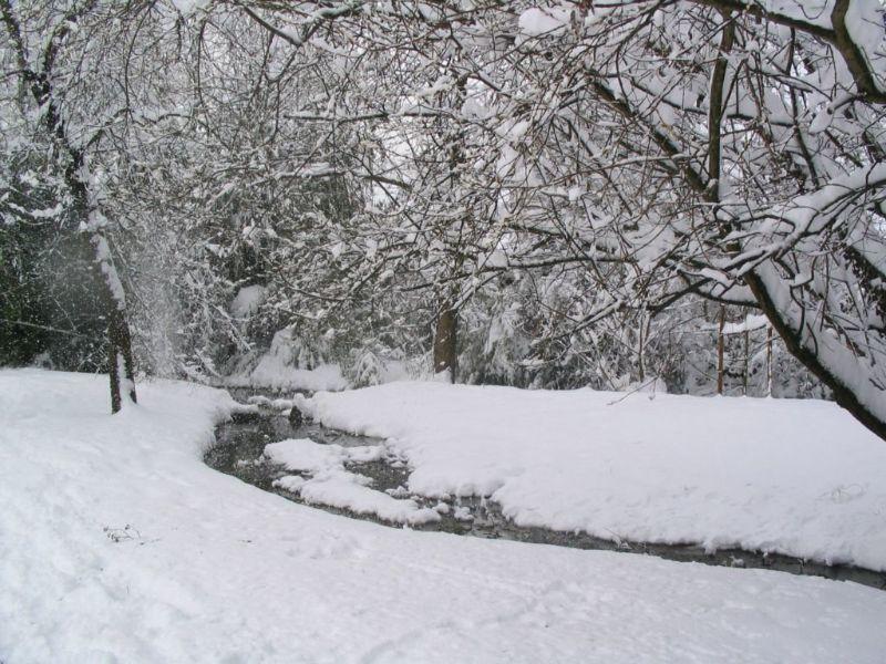 149_4925.jpgschnee in kressbronn 2006.jpg