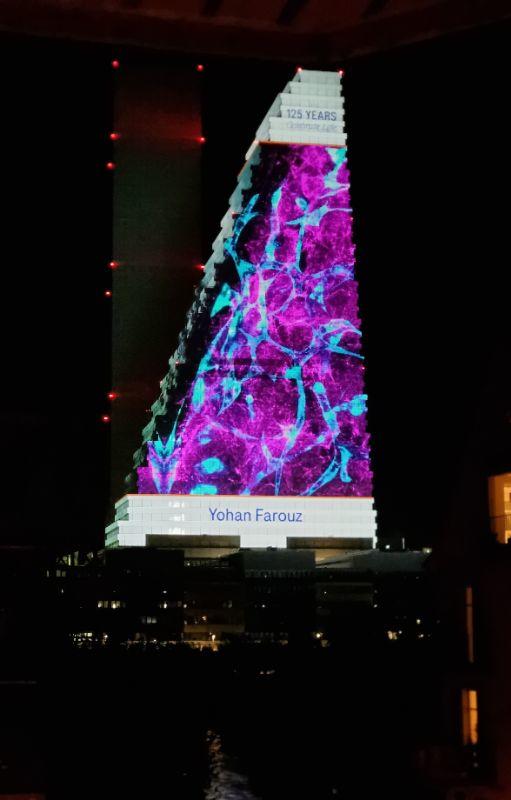 Roche-Turm in Pink.jpg