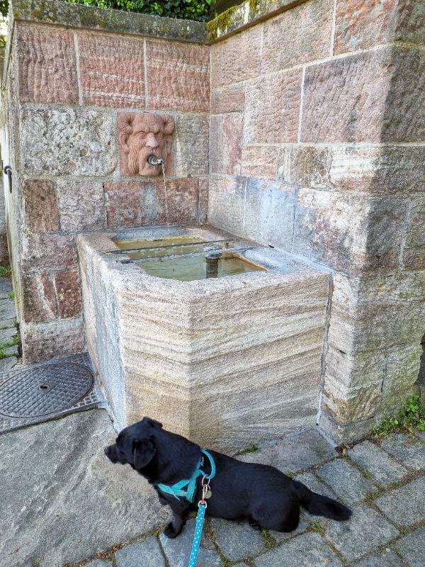 Basler Brunnen mit Sancho.jpg