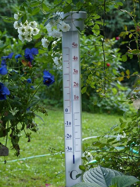 thermometer-gb8730dd0d_640.jpg