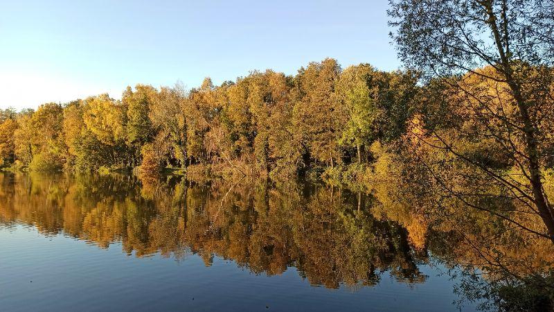 HerbstBornerSee.jpg