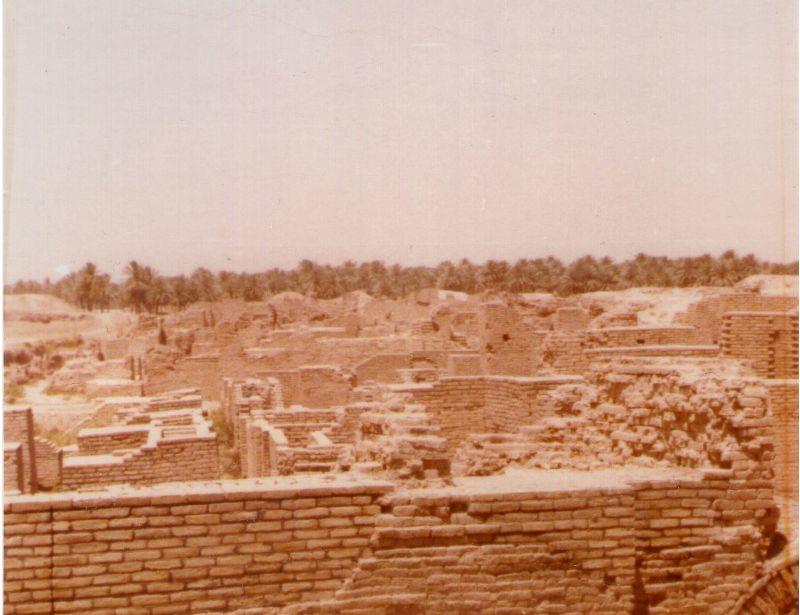 Babylon 1978 d.jpg