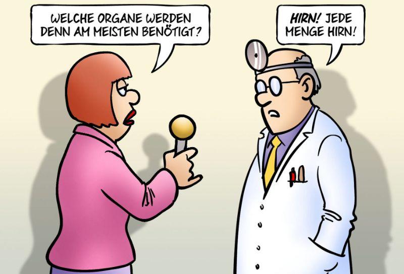 organspende.jpg