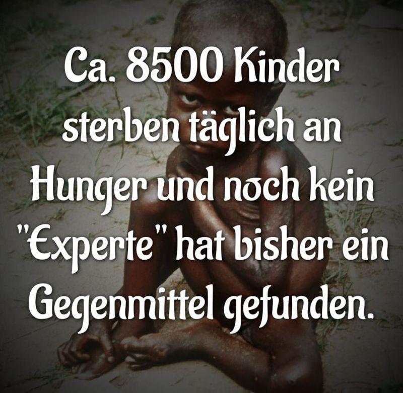 8500 hungertote.jpg