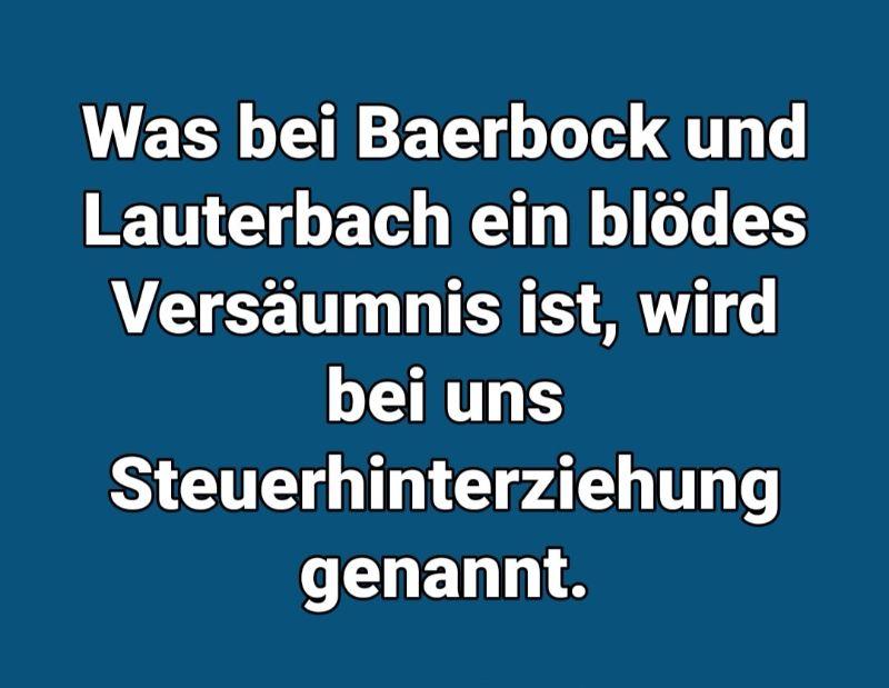 baerbock steuerhinterziehung.jpg