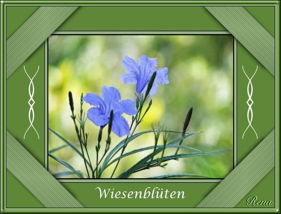 27 Wiesenblüten  blau 21_08.jpg