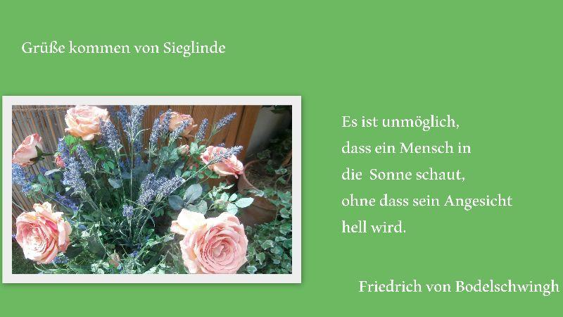 Blumen2.jpg